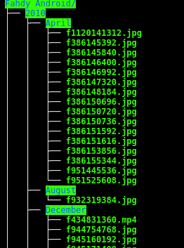 directory_tree